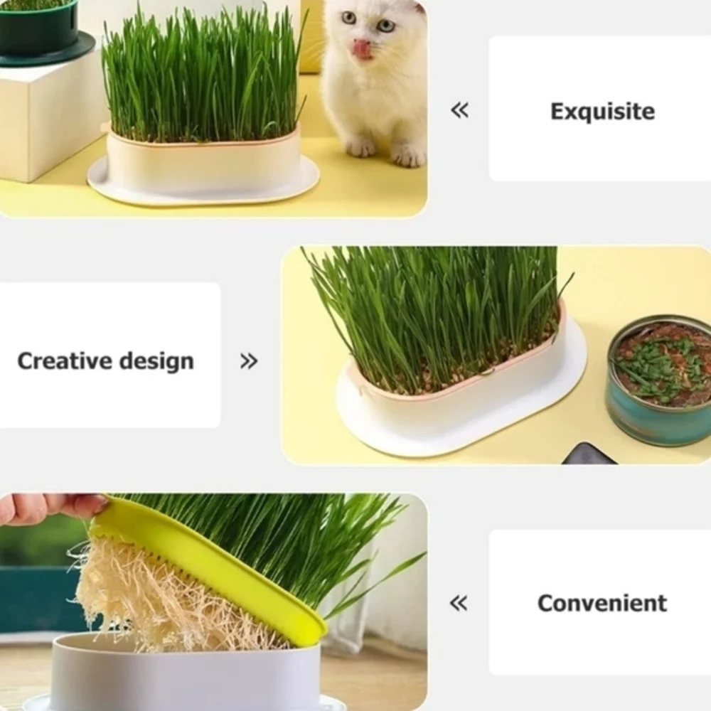 Organic Hydroponic Soil‎ Free Cat Grass Box Cat Nip Blue and White NWT